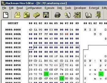 Hex Editor